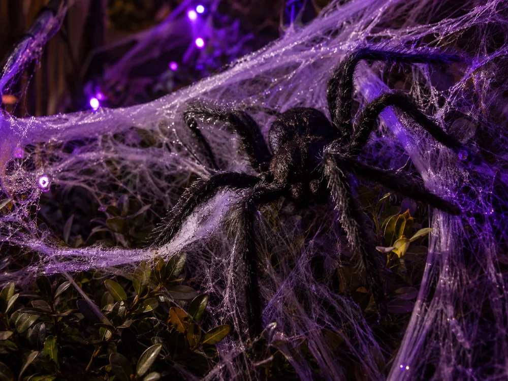 Illustrative close-up of a toy spider in purple-lit cobwebs